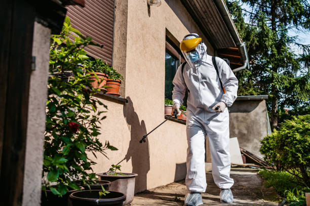 Best Flea Control Services  in Newberry, MI