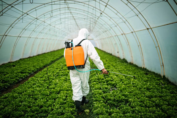 Best Pest Control Near Me  in Newberry, MI