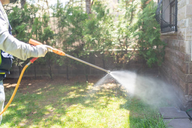 Best Local Pest Control Services  in Newberry, MI