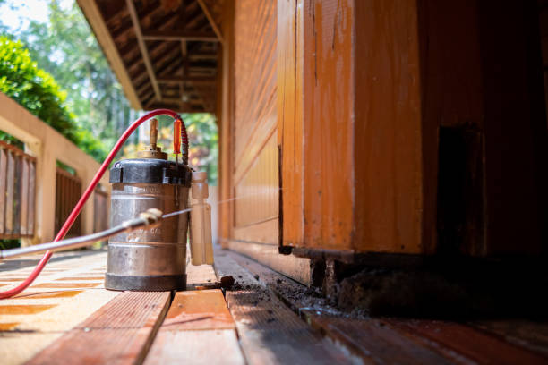 Best Affordable Pest Control Services  in Newberry, MI
