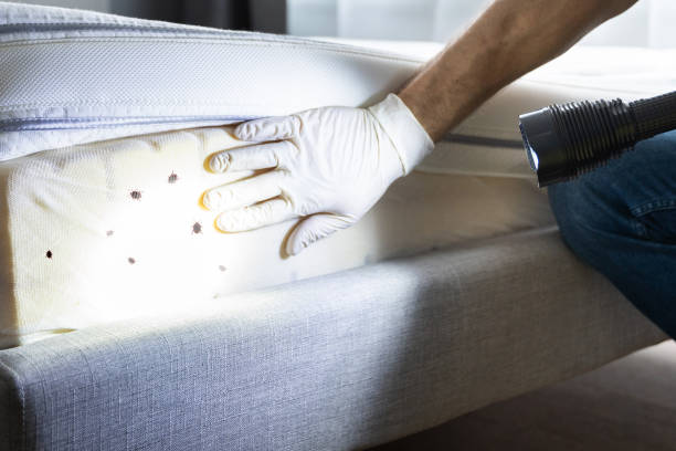 Best Affordable Pest Control Services  in Newberry, MI