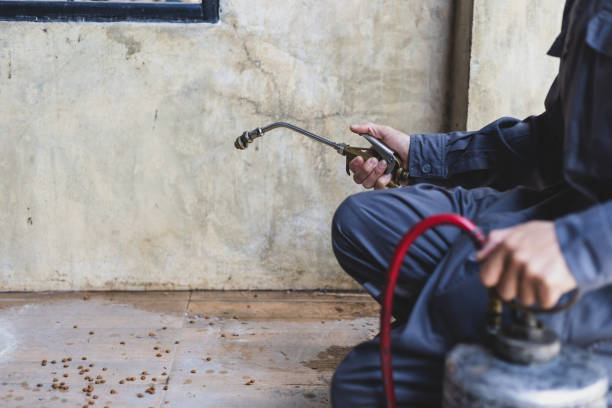 Best Wasp Removal Services  in Newberry, MI
