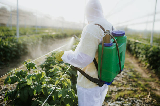 Best Exterminator Services  in Newberry, MI